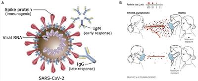 Grand Challenges in Bio-Nanotechnology to Manage the COVID-19 Pandemic